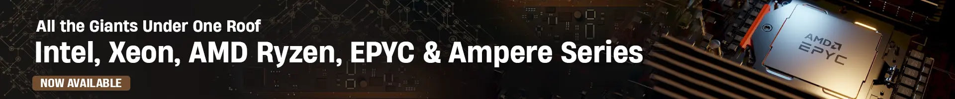 AMD EPYC 24 Cores Processors