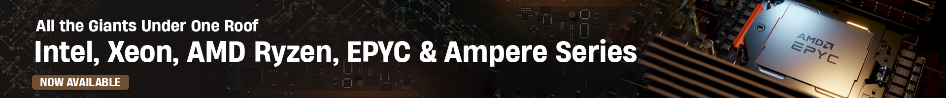 Ryzen 96 Core Processors