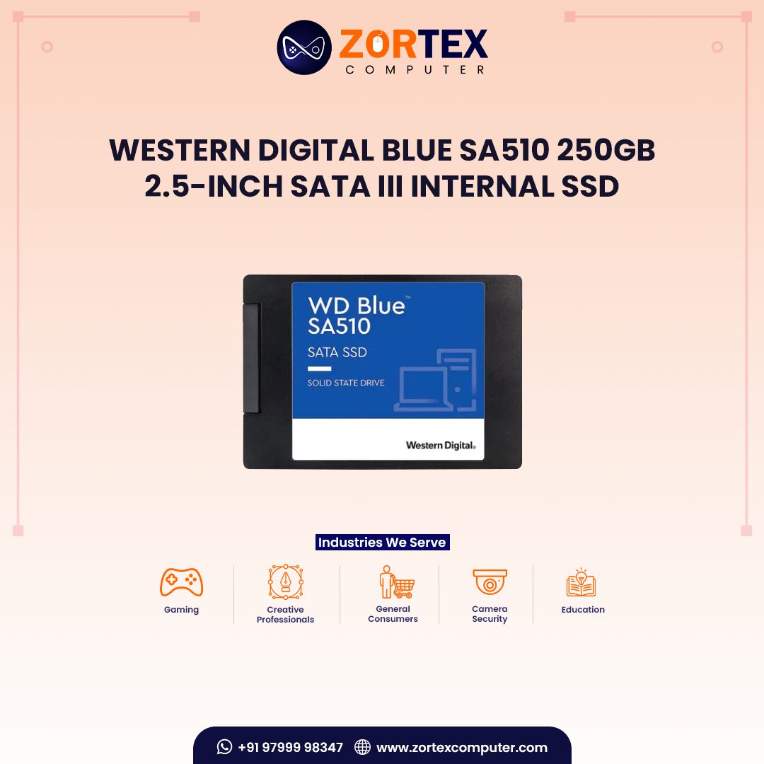 Western Digital Blue SA510 250GB 2.5-inch SATA III Internal SSD