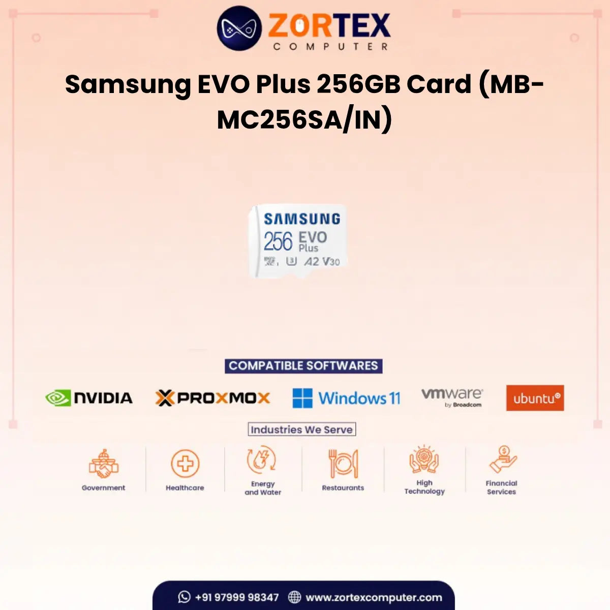 Samsung EVO Plus 256GB Card (MB-MC256SA/IN)