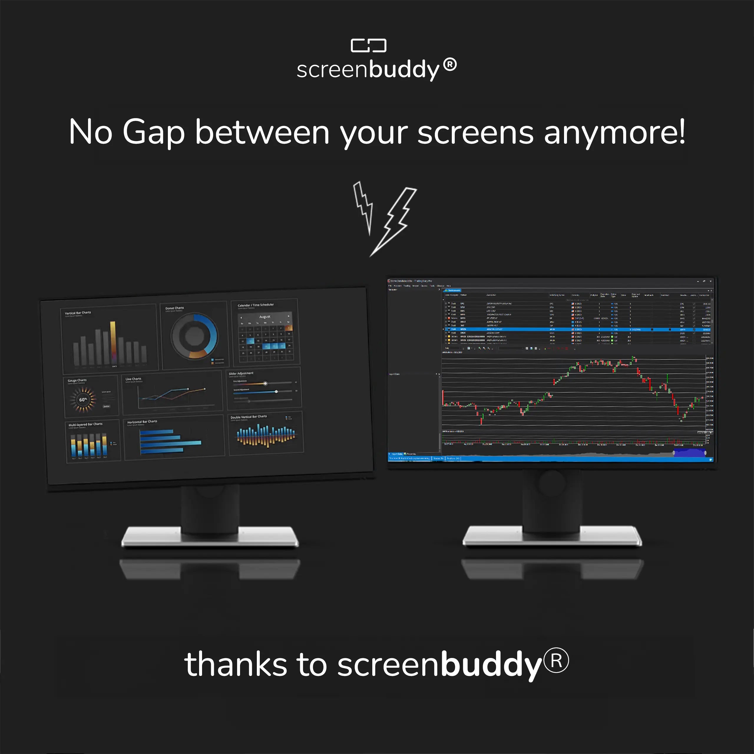 Screenbuddy® 2-pack